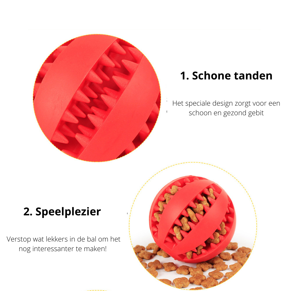 PlayMaster – Sustainable Interactive Dog Game for Fun