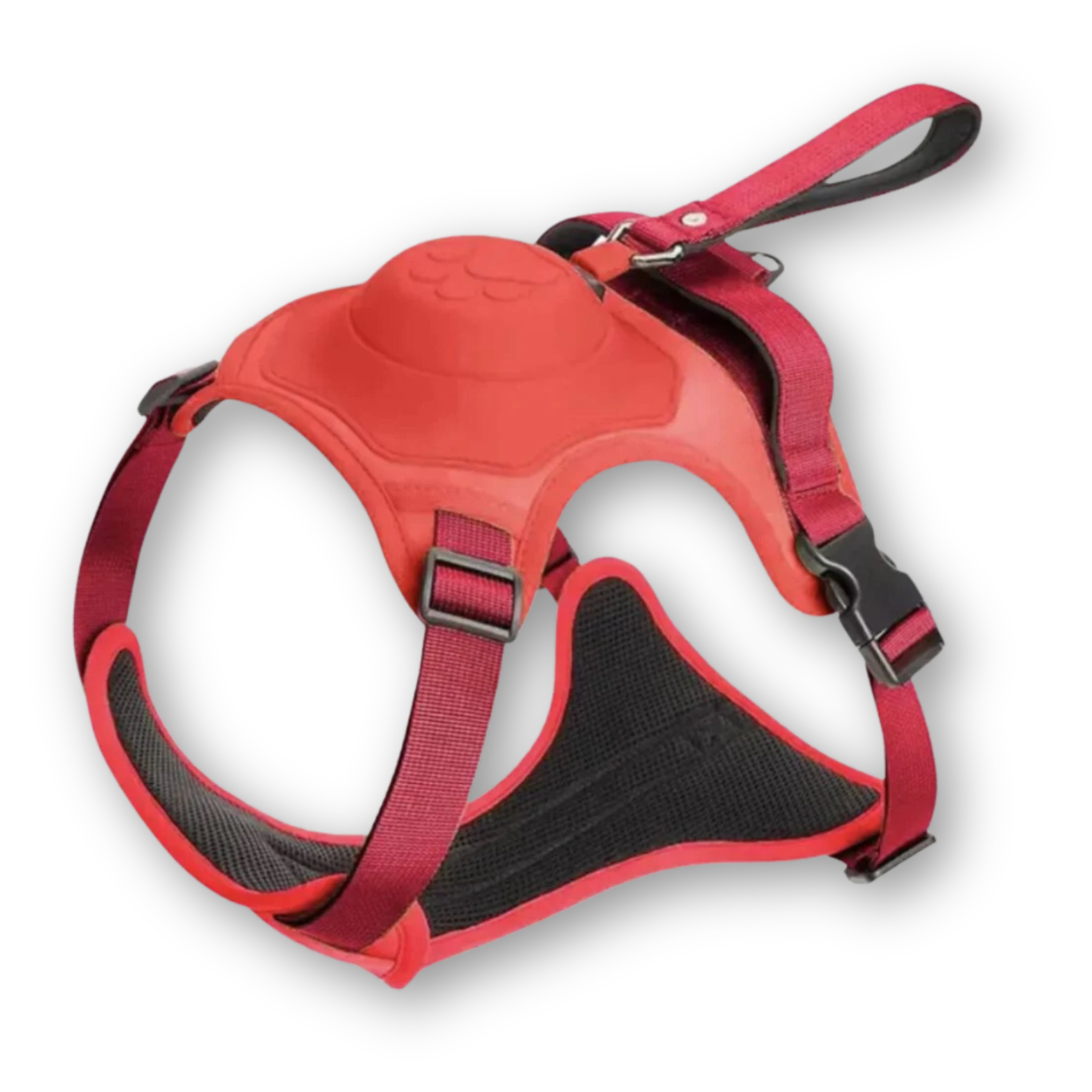 FlexiHarnas – Comfortable 2-in-1 Dog Harness with Leash