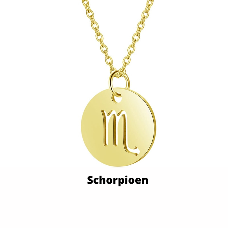 Zodiac Sign Necklace | Durable RVS, Stays Shiny!