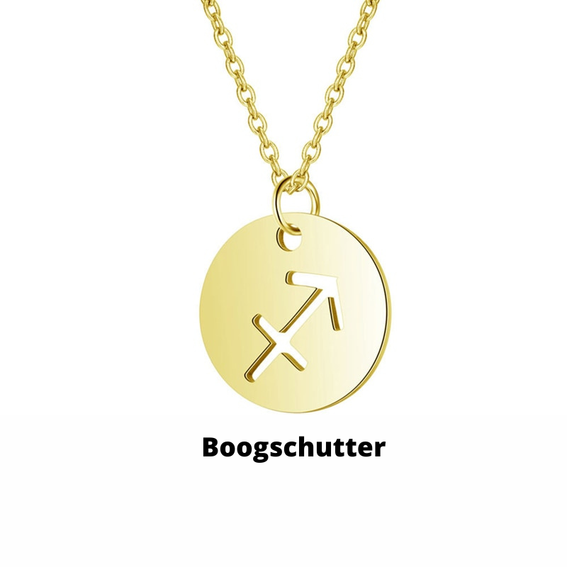 Zodiac Sign Necklace | Durable RVS, Stays Shiny!
