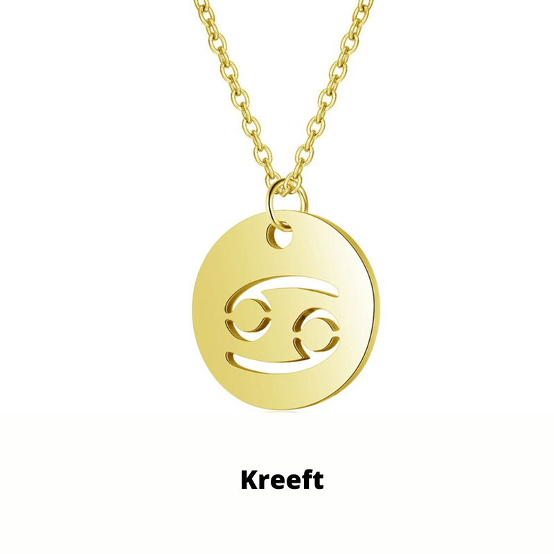 Zodiac Sign Necklace | Durable RVS, Stays Shiny!