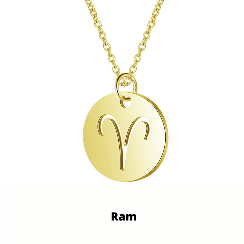 Zodiac Sign Necklace | Durable RVS, Stays Shiny!