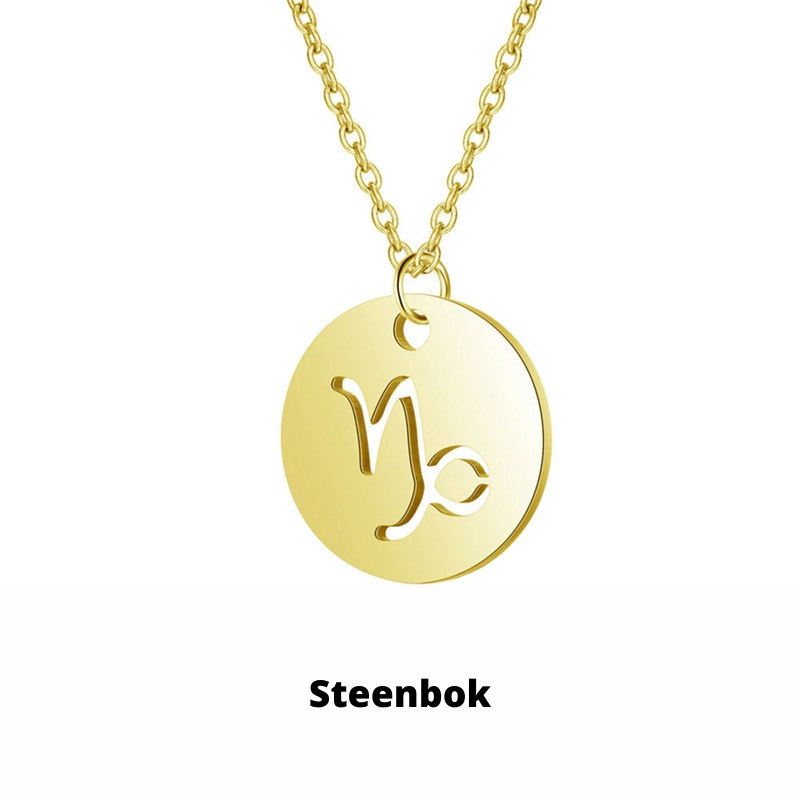 Zodiac Sign Necklace | Durable RVS, Stays Shiny!
