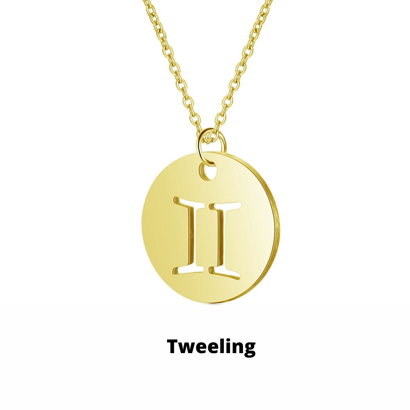 Zodiac Sign Necklace | Durable RVS, Stays Shiny!
