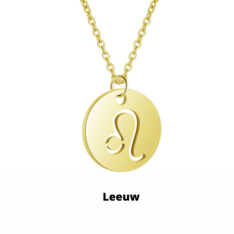 Zodiac Sign Necklace | Durable RVS, Stays Shiny!