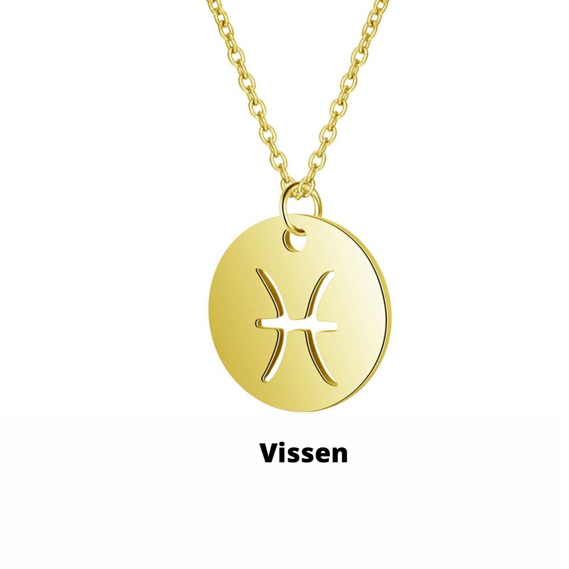 Zodiac Sign Necklace | Durable RVS, Stays Shiny!
