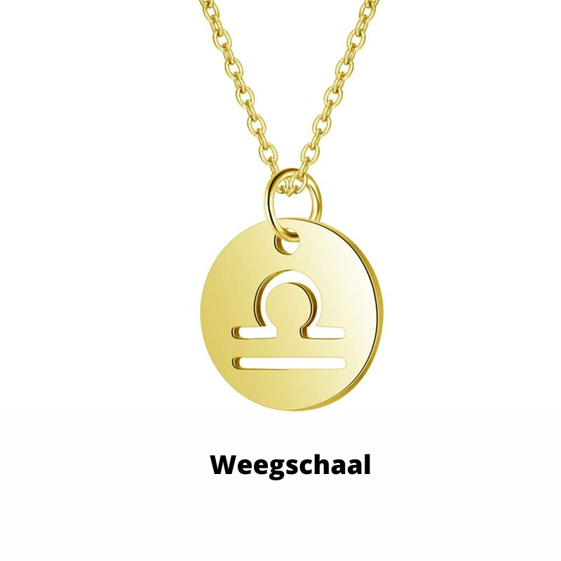 Zodiac Sign Necklace | Durable RVS, Stays Shiny!