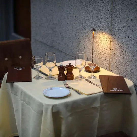 Wireless Spikelight™ - Waterproof & Dimmable Cordless Lighting