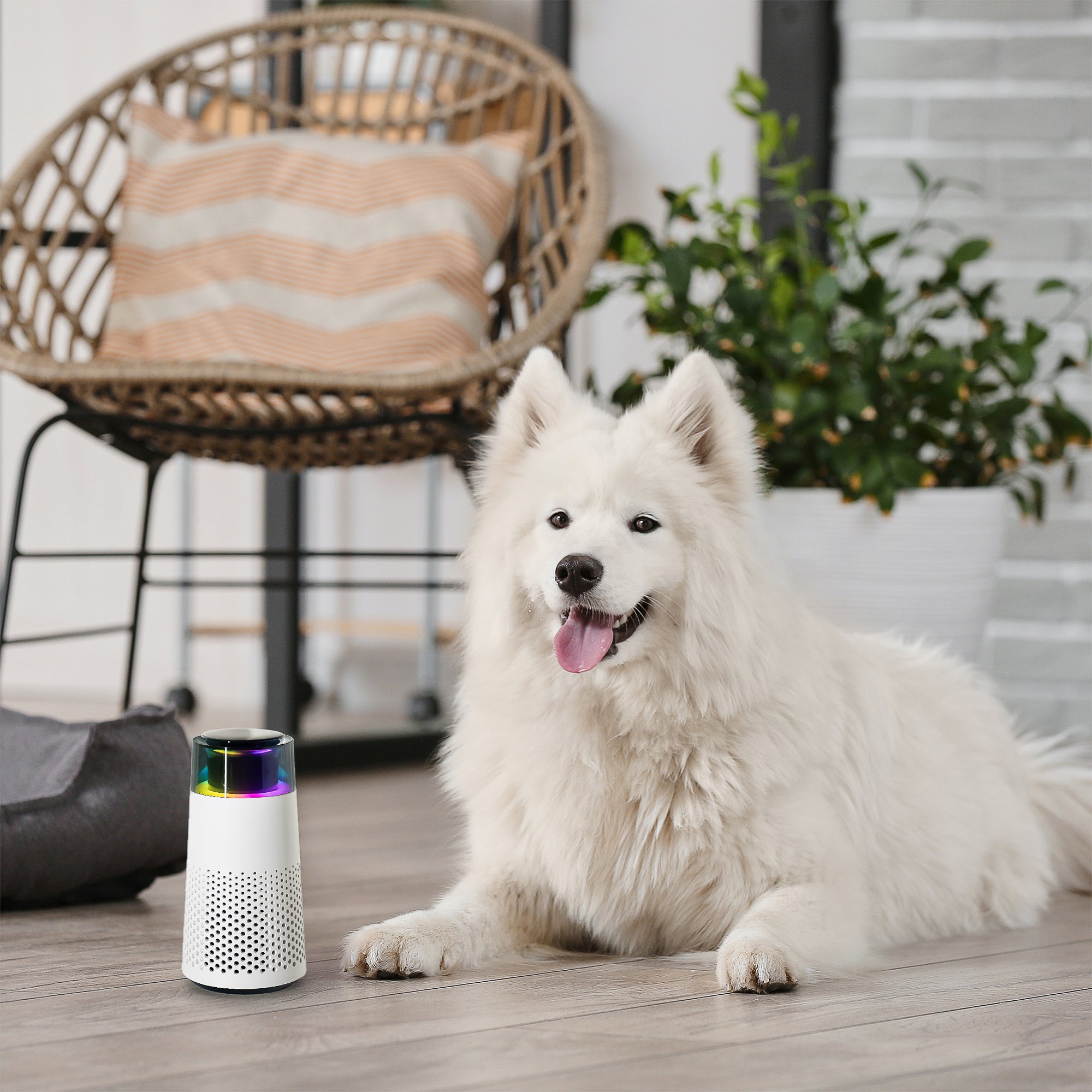 PetFresh - Aromatic Diffuser for Pets