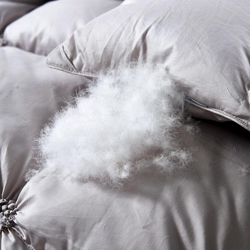 PlumeLux Ganzendonzen Duvet - Luxury & Comfort in One