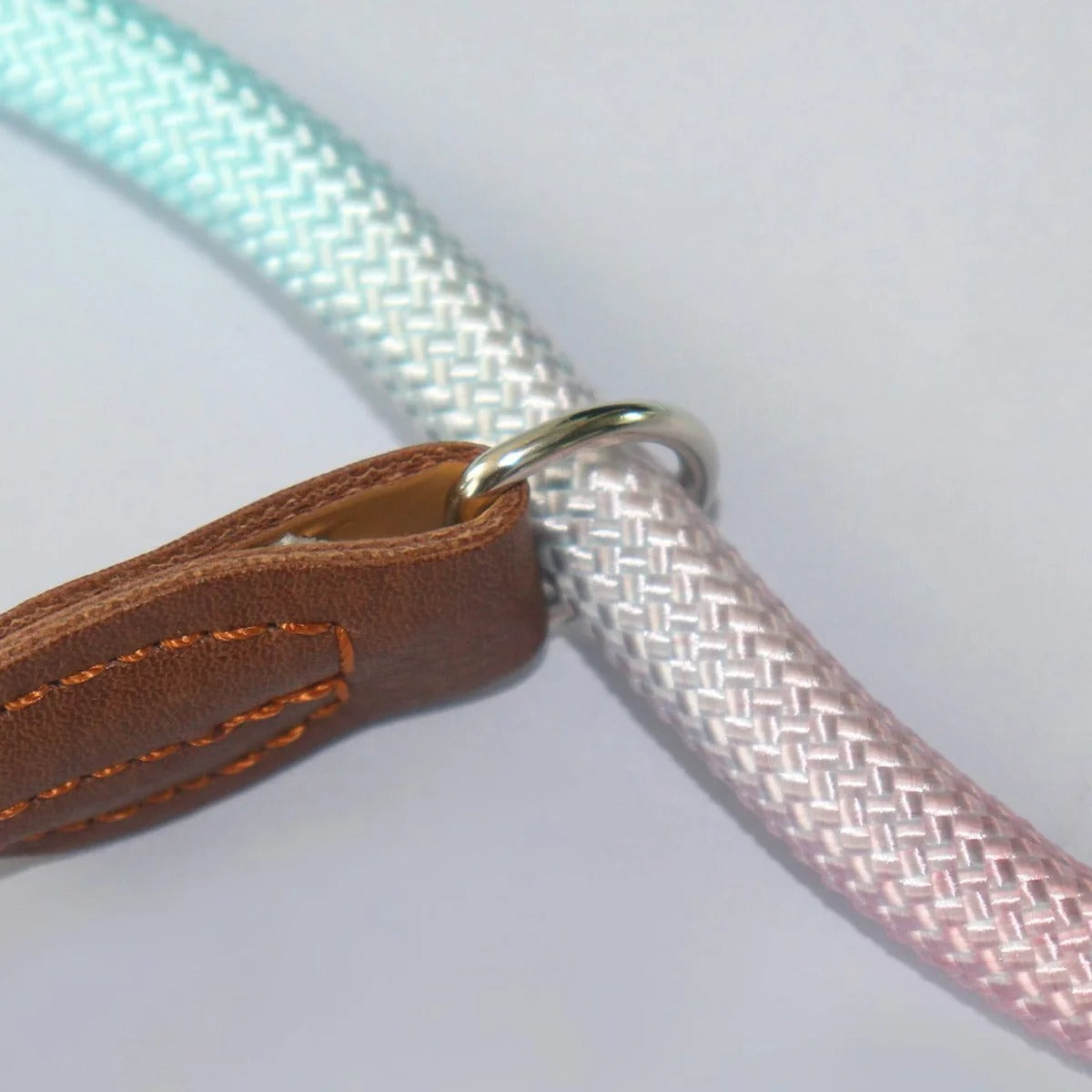 Clémentine Leather Leash – Colorful Dog Leash for Stylish Walks