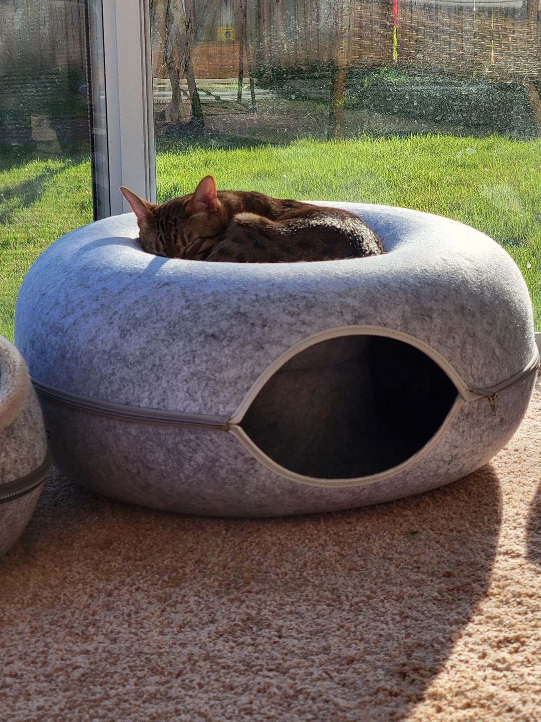 Purrfect Den - LUXURY Cat Tunnel with Sleeping Toy