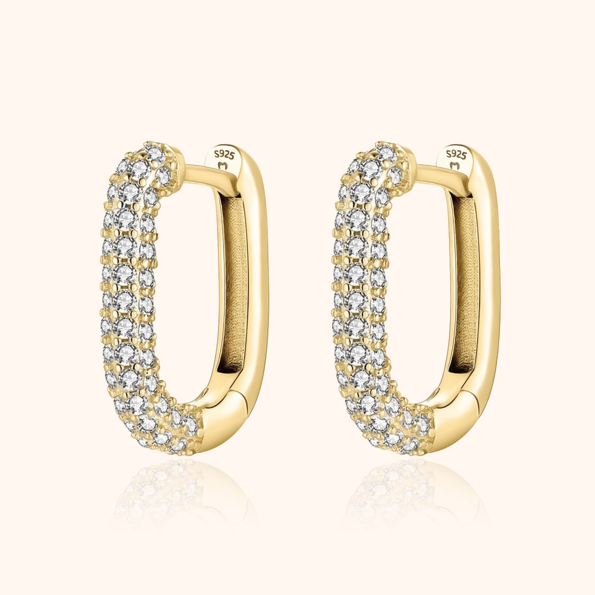 Captivating Radiant Earrings - Lucienne