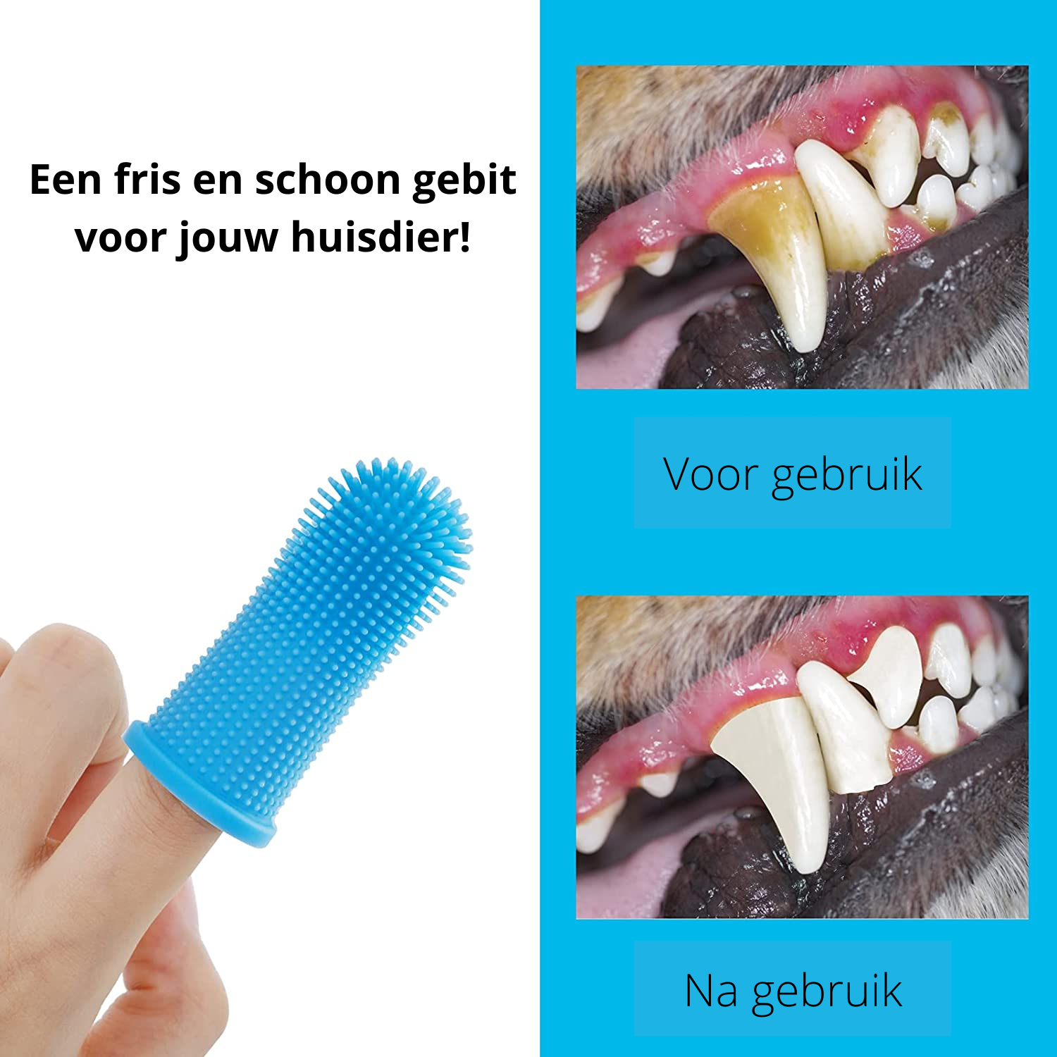 PawClean Pro - Safe dental care for dogs at home