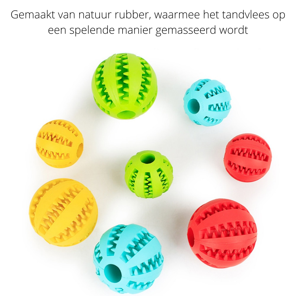 PlayMaster – Sustainable Interactive Dog Game for Fun