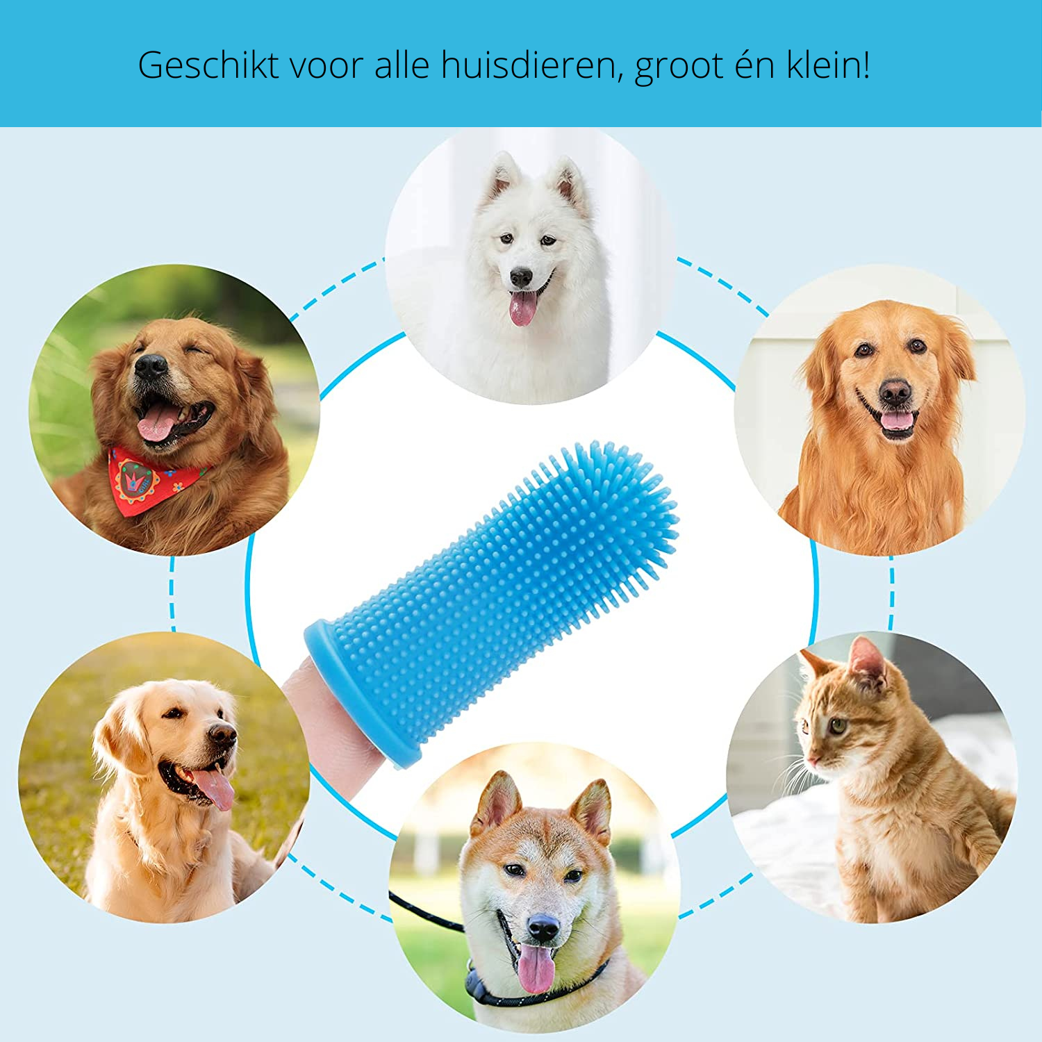 PawClean Pro - Safe dental care for dogs at home