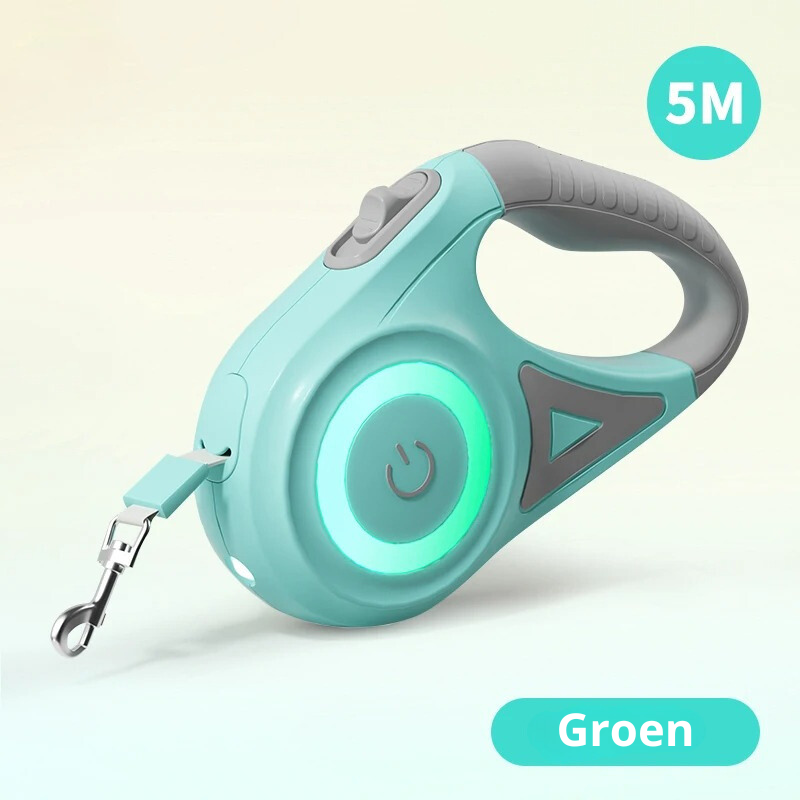 SafeWalk Leash – Illuminated Dog Leash for Safe Walking
