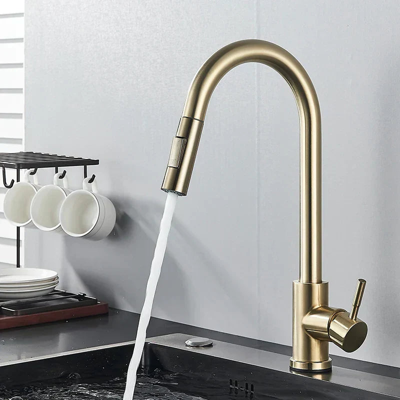 FlowMaster – Luxury Kitchen Sprayer with 360° Swivel Function