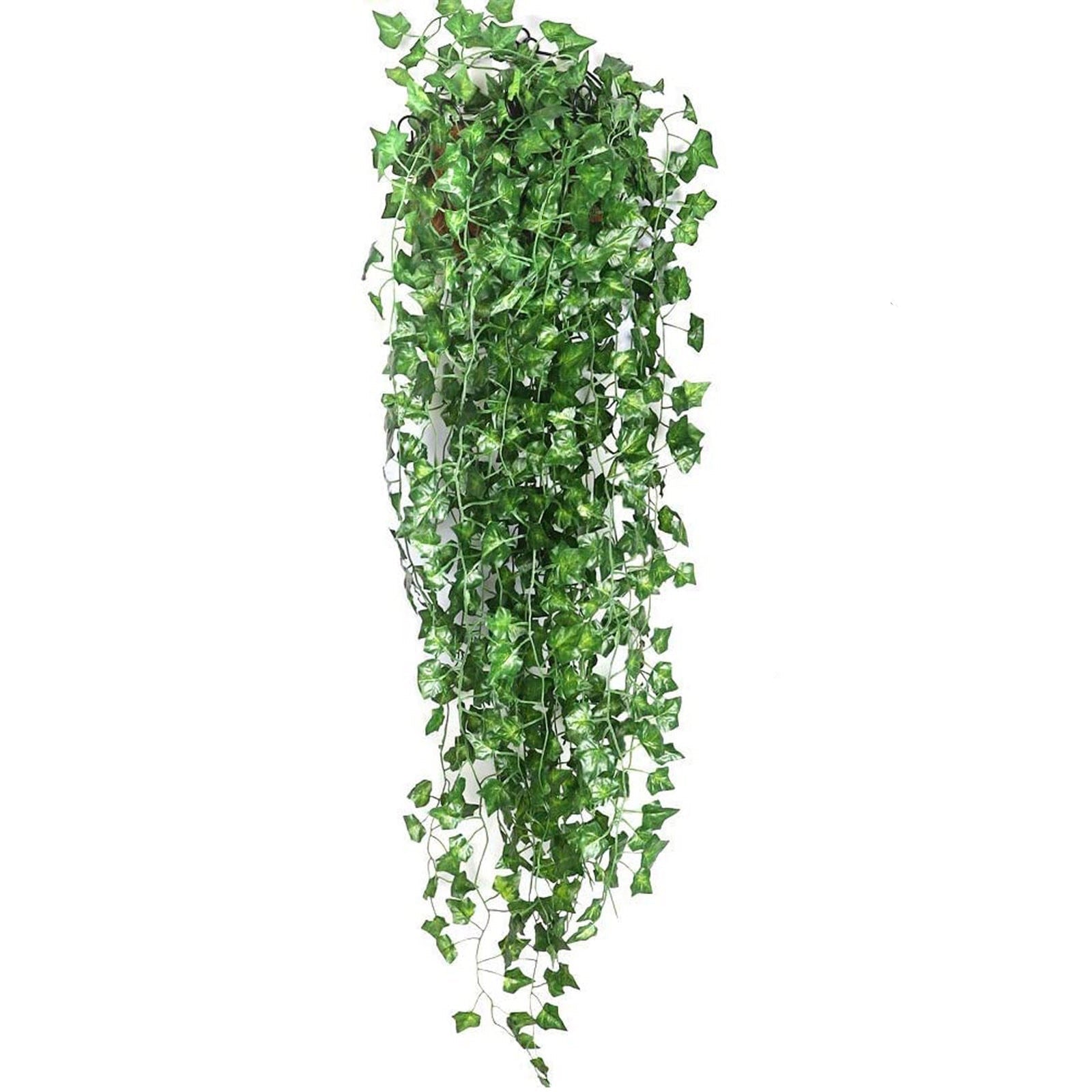 EvergreenGlow – Alltid Gröna Växter för Varje Säsong