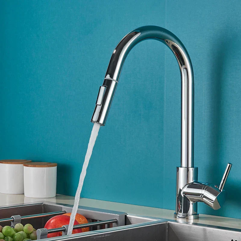 FlowMaster – Luxury Kitchen Sprayer with 360° Swivel Function