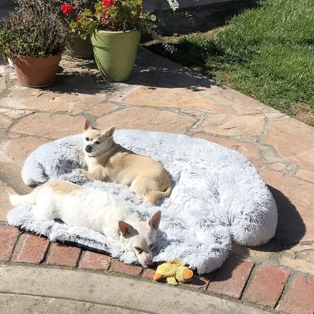 Quishy PetBed - Luxurious Washable Plush Blanket