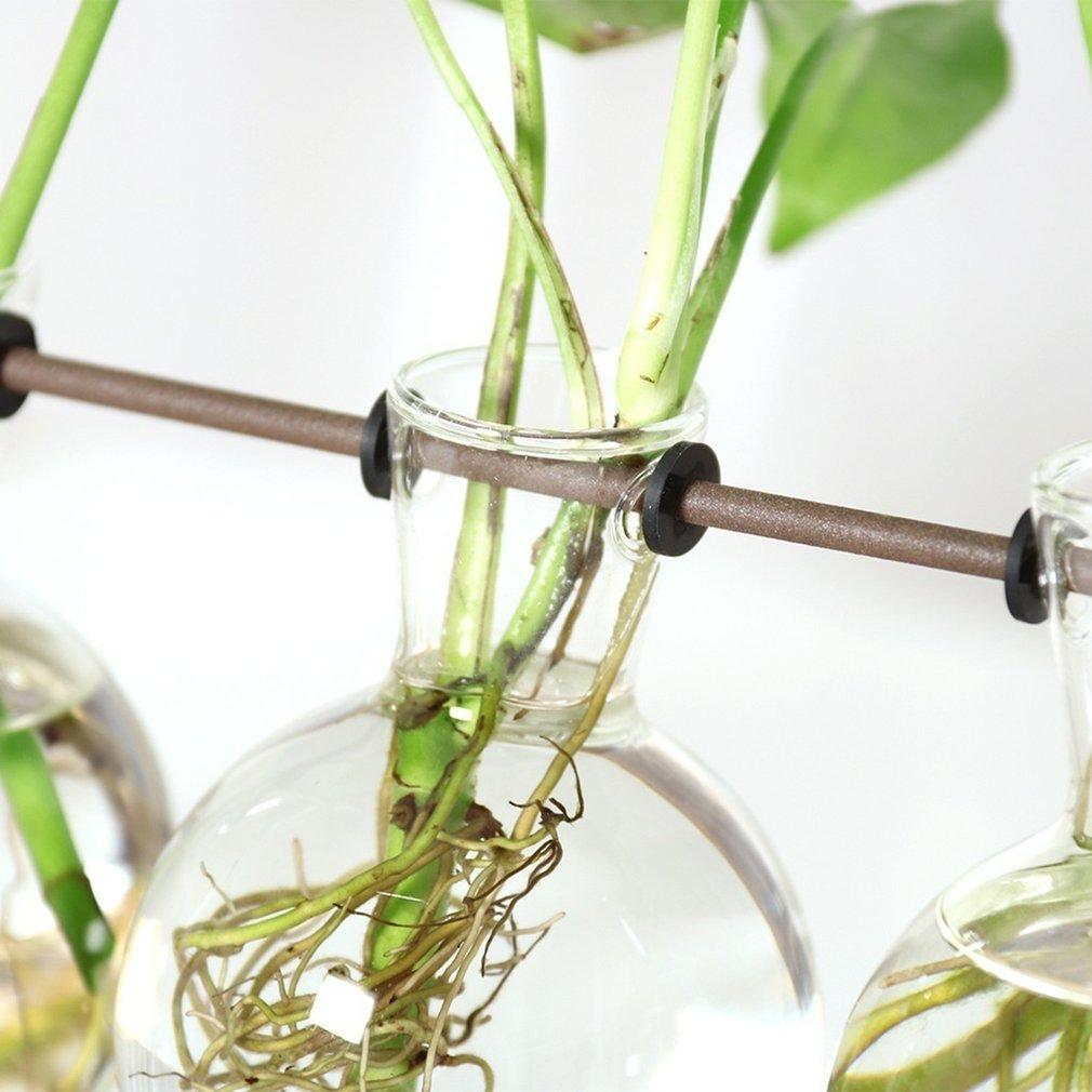 FaunaGrow Pots – Sustainable Cultivation for Plants