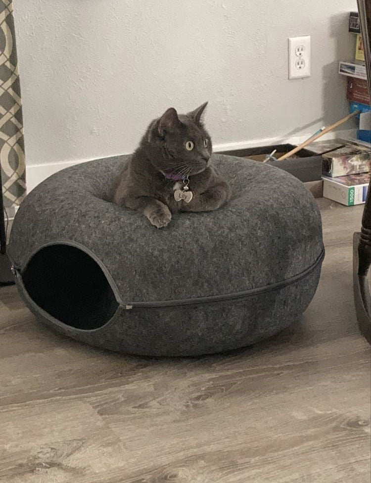 Purrfect Den - LUXURY Cat Tunnel with Sleeping Toy