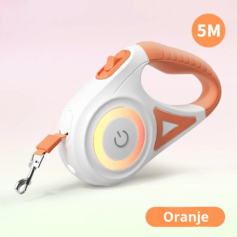 SafeWalk Leash – Illuminated Dog Leash for Safe Walking