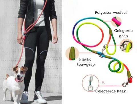FreedomLeash – Innovative Hands-Free Dog Leash
