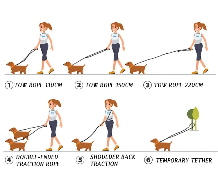 FreedomLeash – Innovative Hands-Free Dog Leash