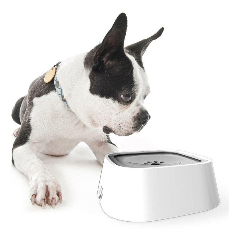 SplashGuard – Effective dog spray protection against stains