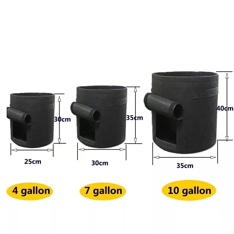 GrowMaster Pots – Stylish Growing Top for Vegetables