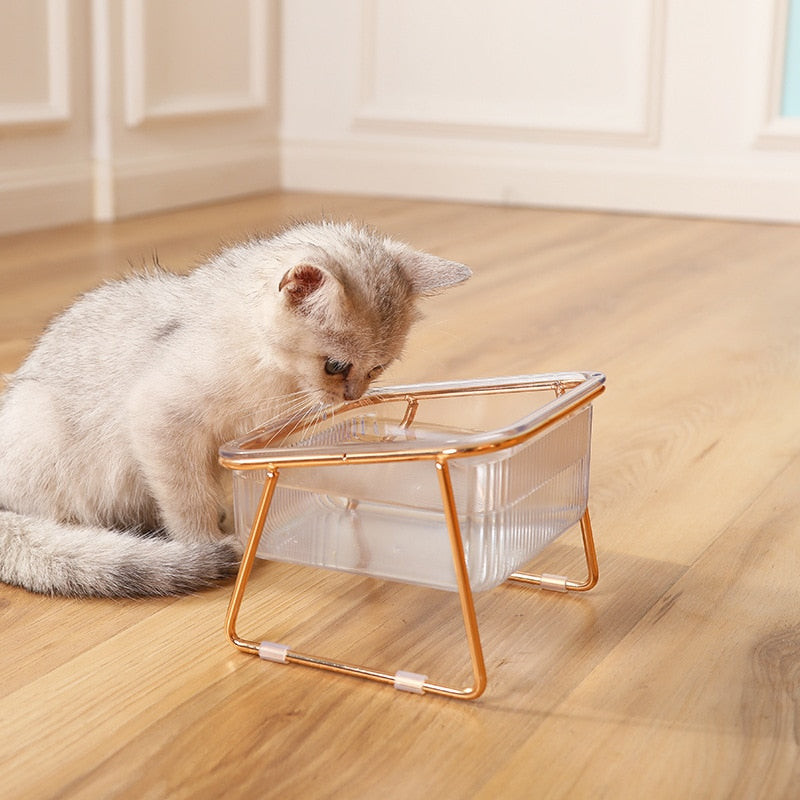 PetChic - Trendy Dining Place for Stylish Animals