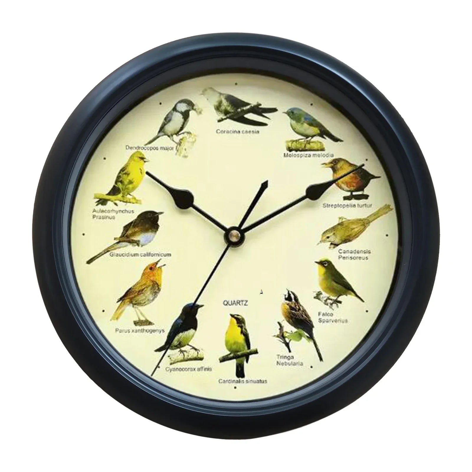 BirdSong Clock – 10 Inch Alarm Clock for Stylish Interior Design