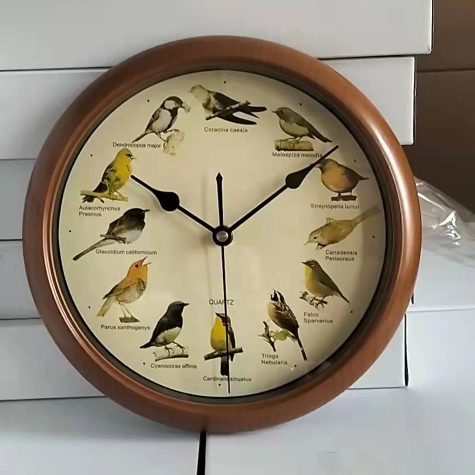 BirdSong Clock – 10 Inch Alarm Clock for Stylish Interior Design