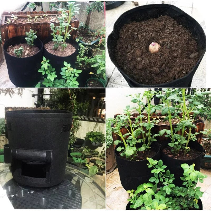 GrowMaster Pots – Stylish Growing Top for Vegetables