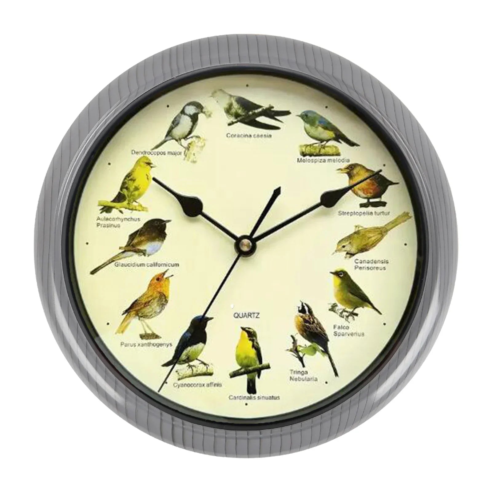 BirdSong Clock – 10 Inch Alarm Clock for Stylish Interior Design
