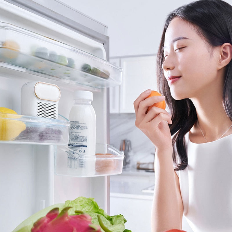 FreshBreeze - Refrigerator dehumidifier against odors