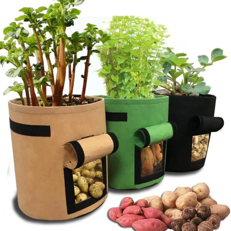 GrowMaster Pots – Stylish Growing Top for Vegetables