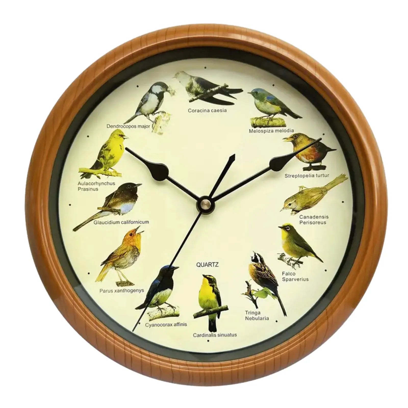 BirdSong Clock – 10 Inch Alarm Clock for Stylish Interior Design