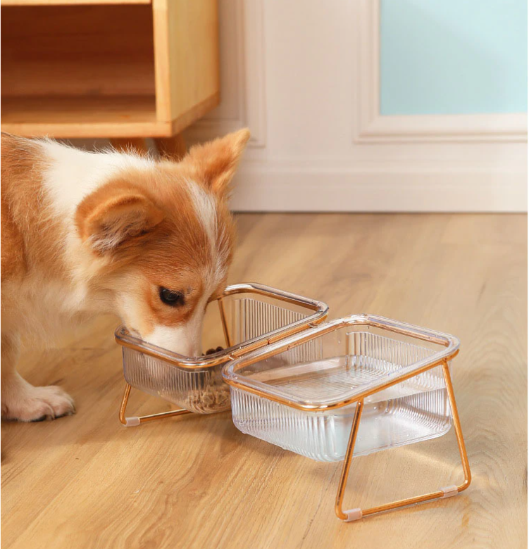 PetChic - Trendy Dining Place for Stylish Animals