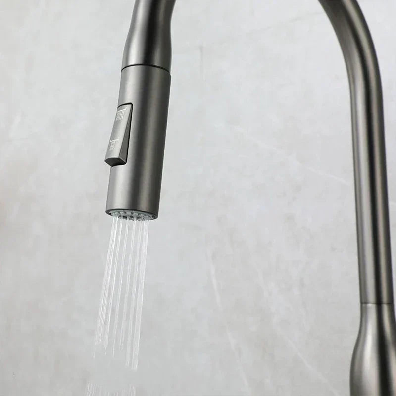 AquaStream Luxe – Adjustable Kitchen Faucet with Hand Shower