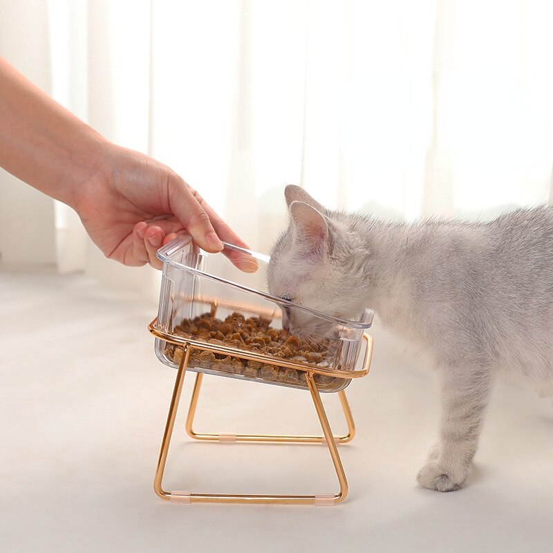 PetChic - Trendy Dining Place for Stylish Animals