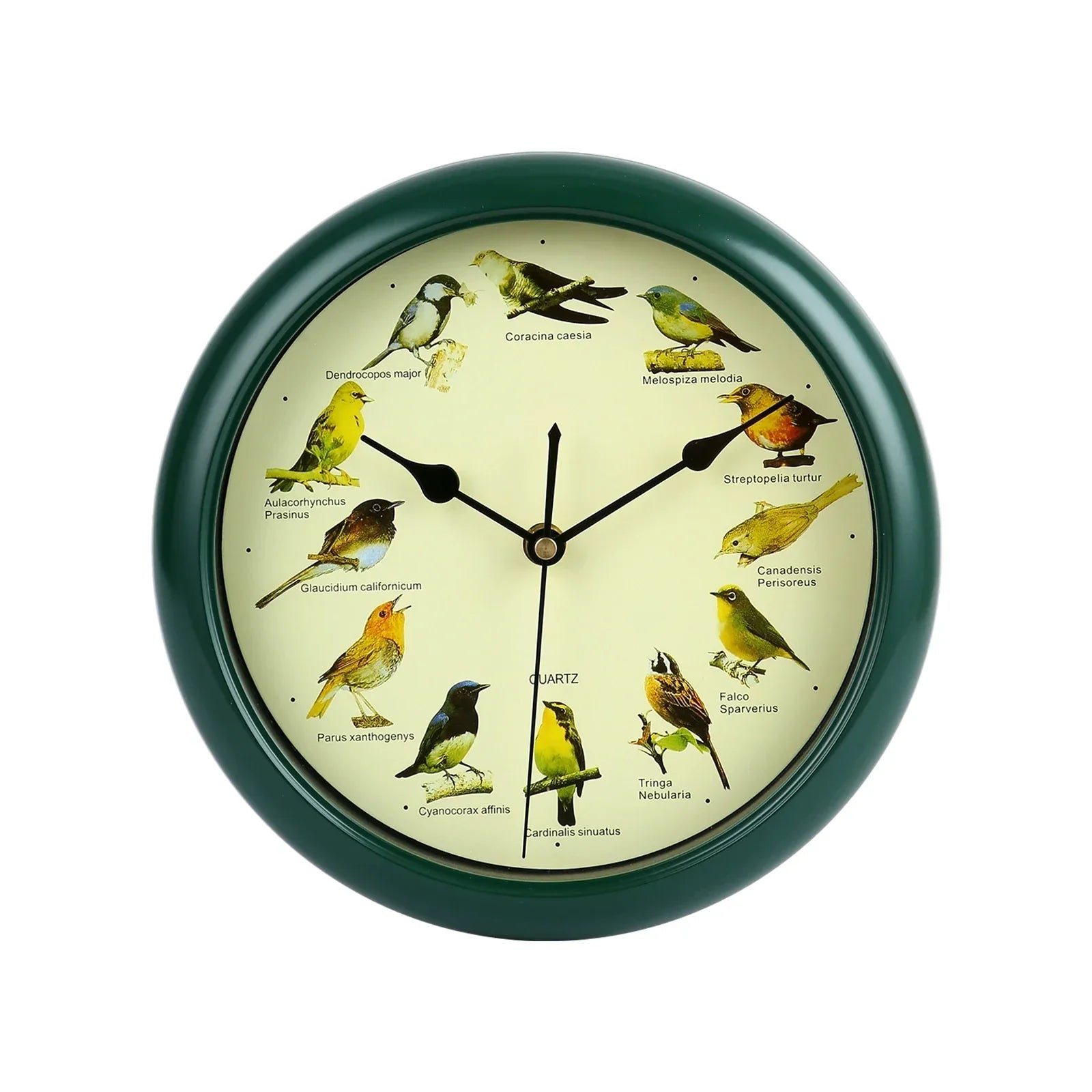 BirdSong Clock – 10 Inch Alarm Clock for Stylish Interior Design