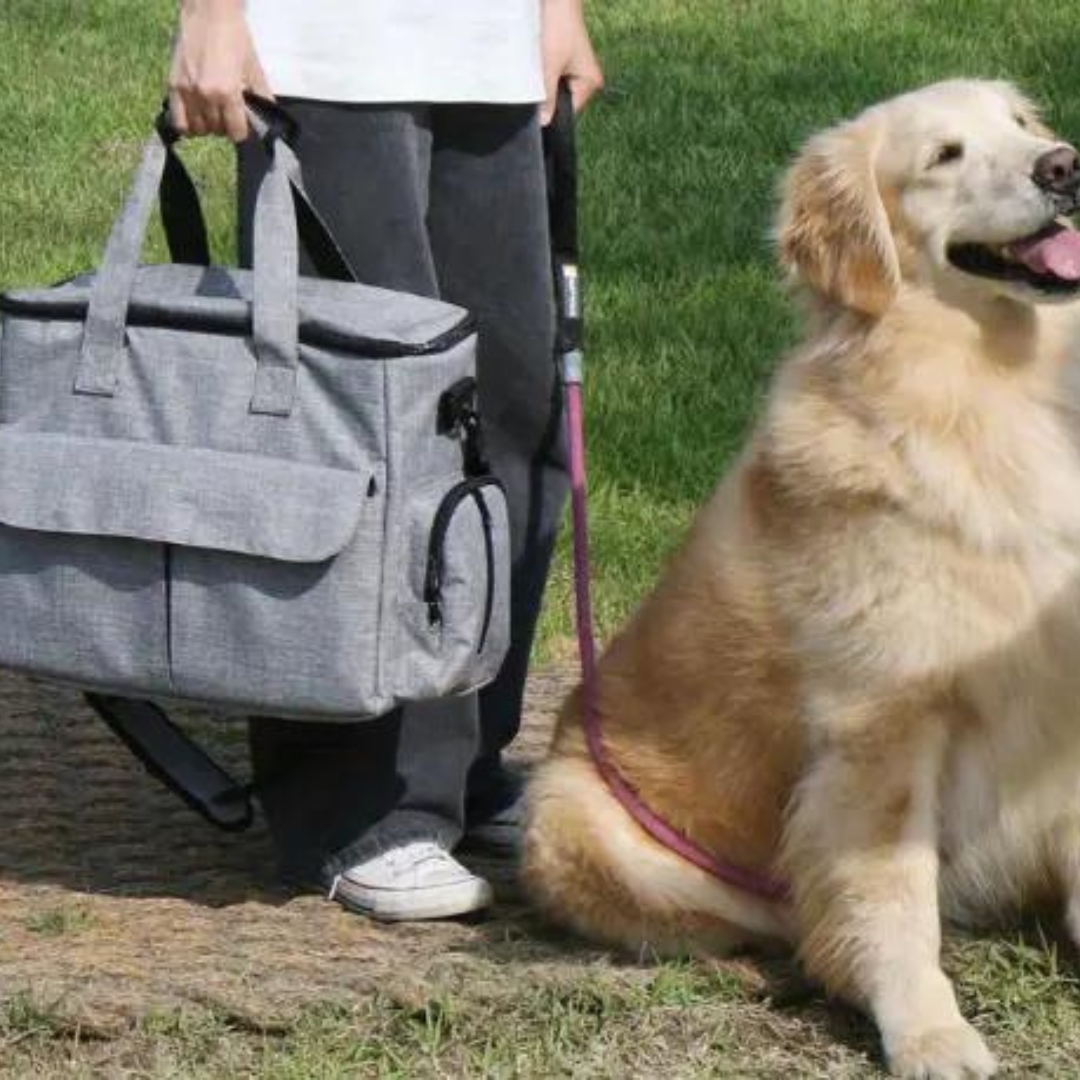 OutdoorPaw Bag – Indispensable Backpack for Adventure
