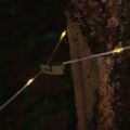 LumiTrail – Stilig Luminös Kabel för Äventyrare