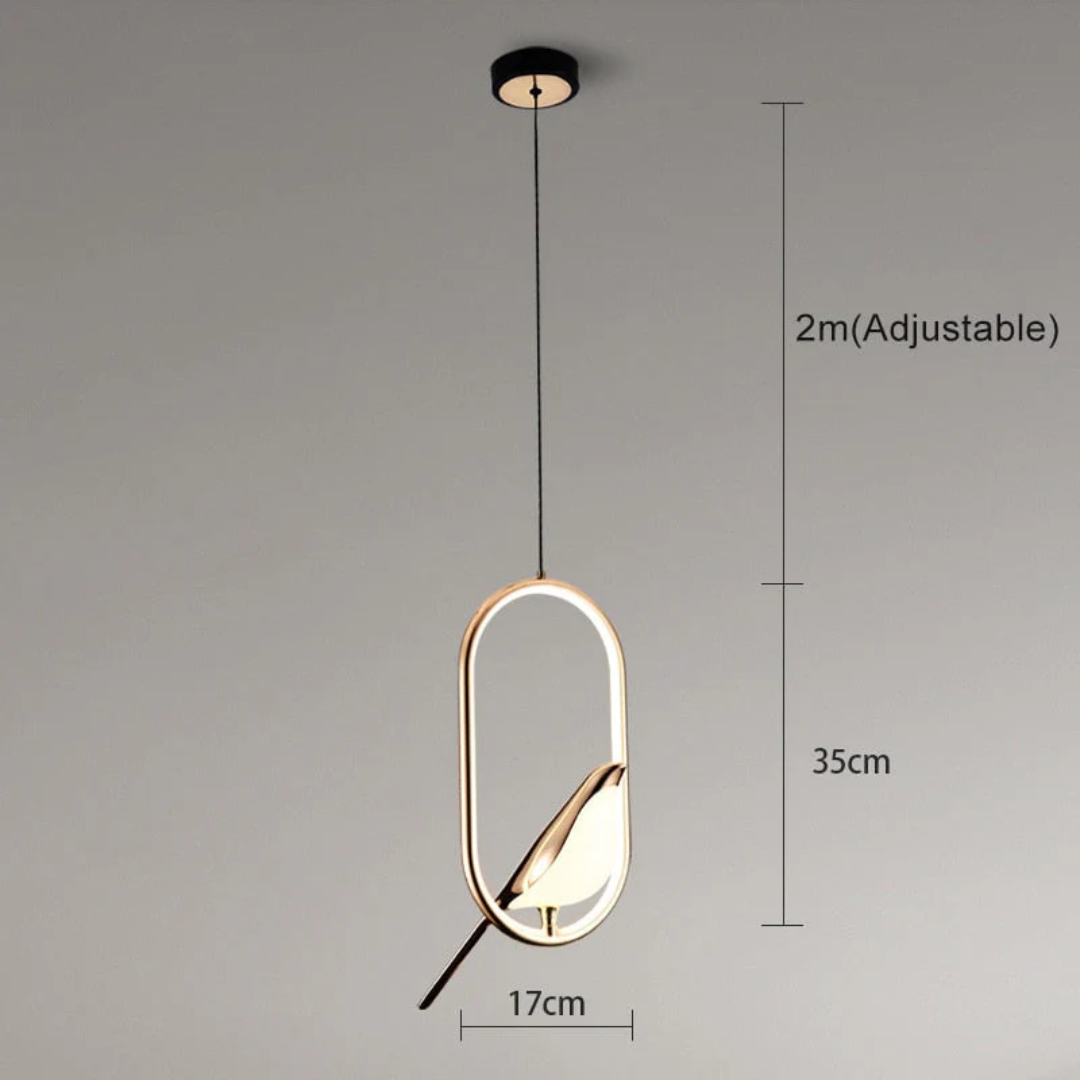 LuminaBird - Modern Round LED Wall Lamp