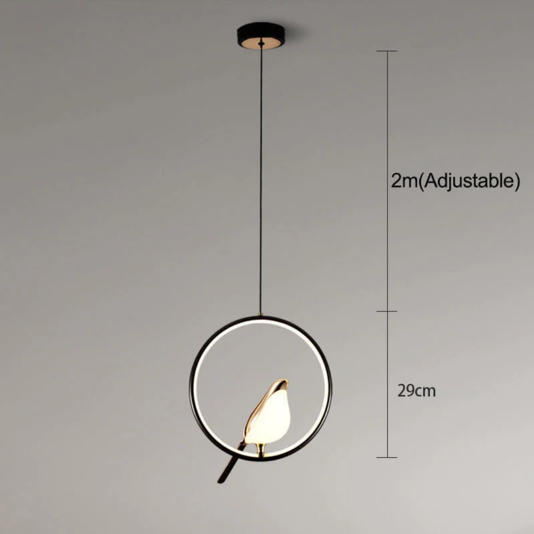 LuminaBird - Modern Round LED Wall Lamp