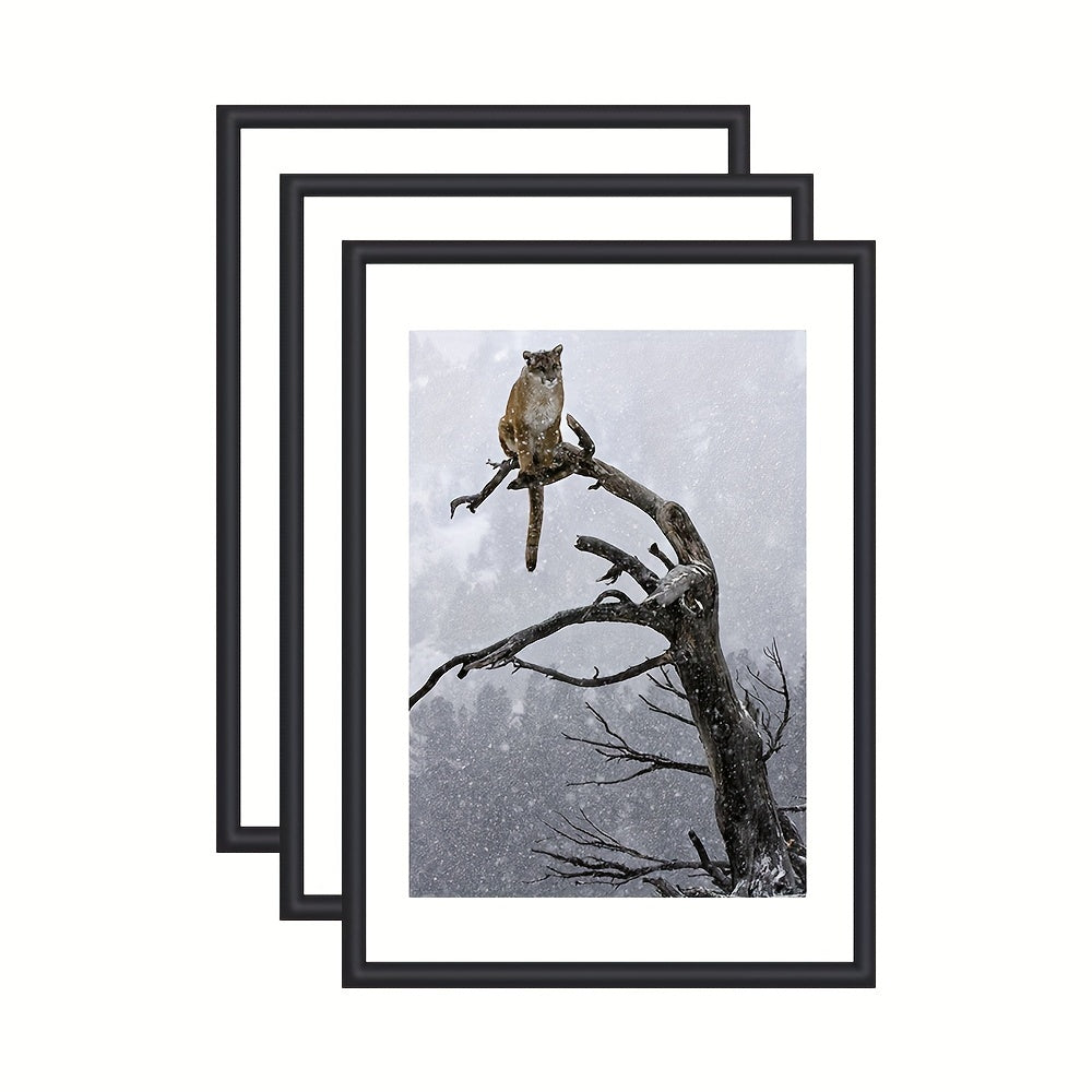 GalleriRam - Set of 3 Black Photo Frames for Walls and Tables