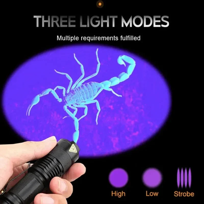 GlowInspect - UV lamp for urine and stains